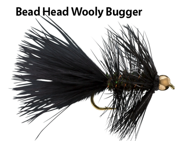 RIO Basic Trout Fly Assortment RIO Basic Trout Fly Assortment